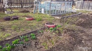 Конец апреля 2025 г