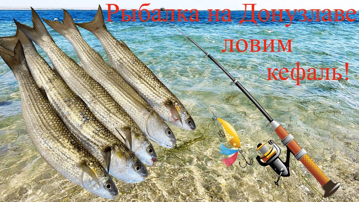Рыбалка на Донузлаве ловим кефаль! смотреть онлайн
