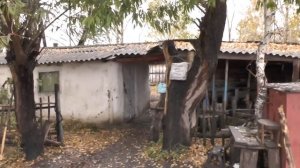 №2.  Уезжаем в Барнаул.  Погрузка с территории лагеря-стана.  07. 10. 2016