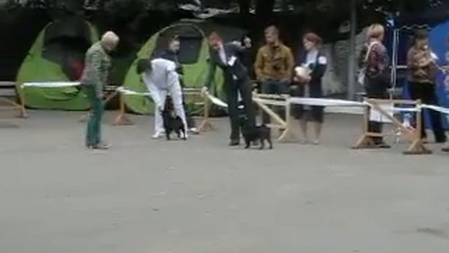 15 июня 2014 Кубок Самбии Калининград MVI 0861 смотреть онлайн