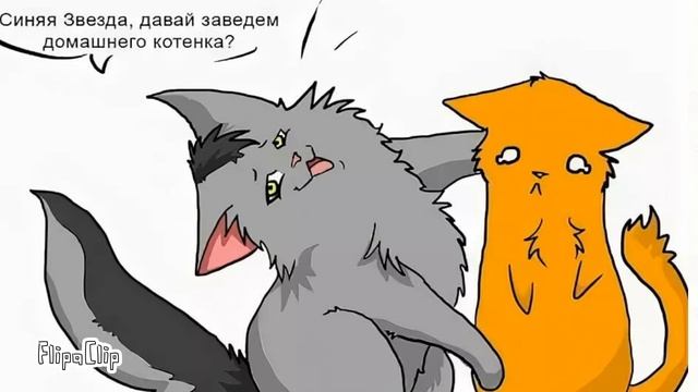 °Приколы|кв|2• смотреть онлайн