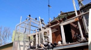 Голуби Крыма, Алексей Василишин, Евпатория (14)