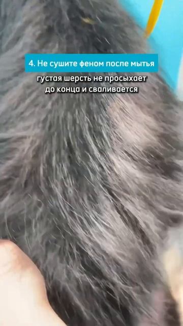 А еще колтуны могут появляться от активного втирания шампуня – так повреждается структура волоса