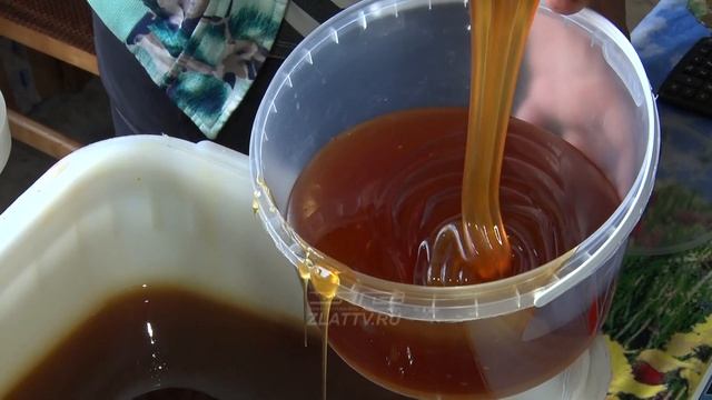 Златоустовцев вновь радует вкусный и полезный мед из самого Алтая смотреть онлайн