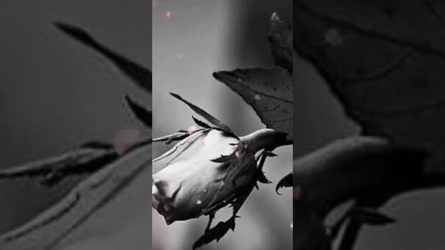 Устал Господь....