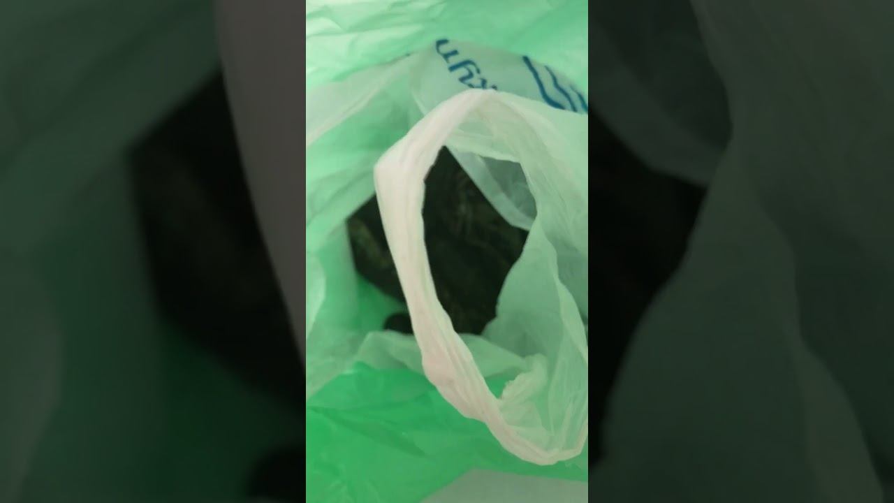 Живые #раки смотреть онлайн