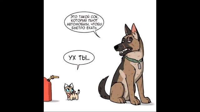 Брут и Пикси смотреть онлайн