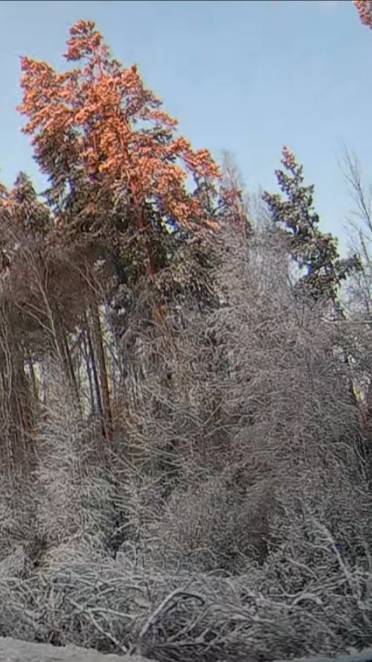 Снежное утро 29 апреля! 🤷 смотреть онлайн