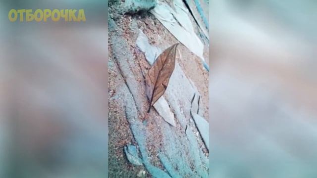 ЛУЧШИЕ ПРИКОЛЫ 2020 Апрель #39 ржака угар ПРИКОЛЮХА смотреть онлайн