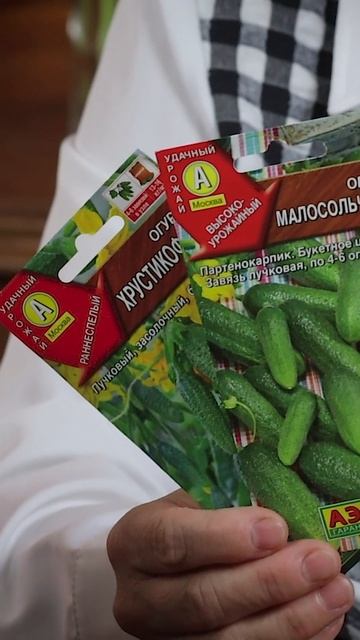 Эти огурцы просто ТОП 🔥 смотреть онлайн