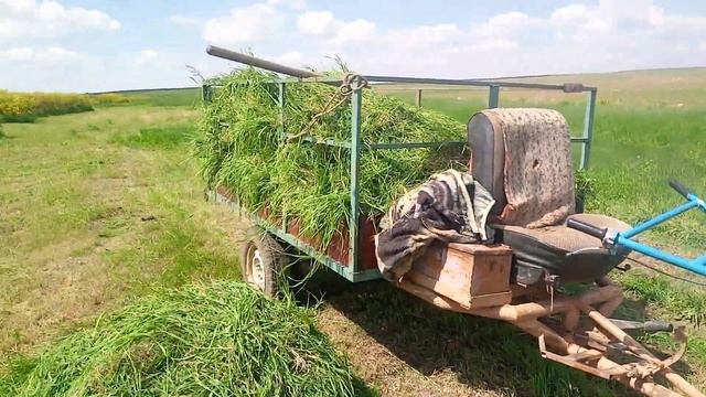 Триммер в помощь смотреть онлайн