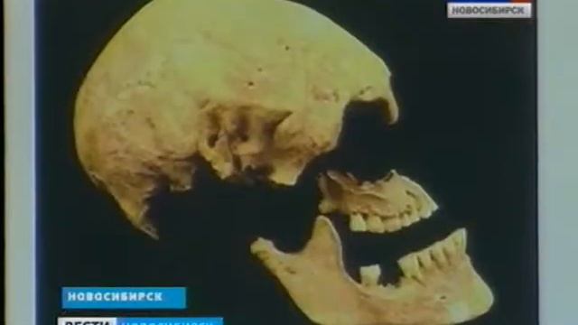 Мое измененное видео смотреть онлайн