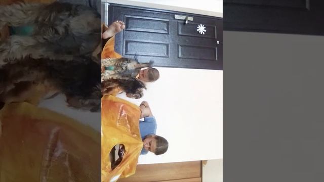 Мини распоковка новый гиганские пончики смотреть онлайн