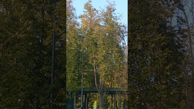 16 сентября 2023 г. смотреть онлайн