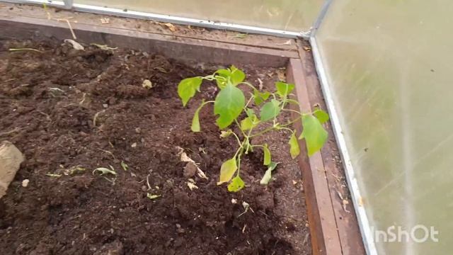 Эти выходные были ленивыми 😴😆