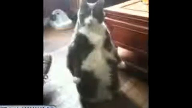 Ты чё меня снимаешь, да смотреть онлайн