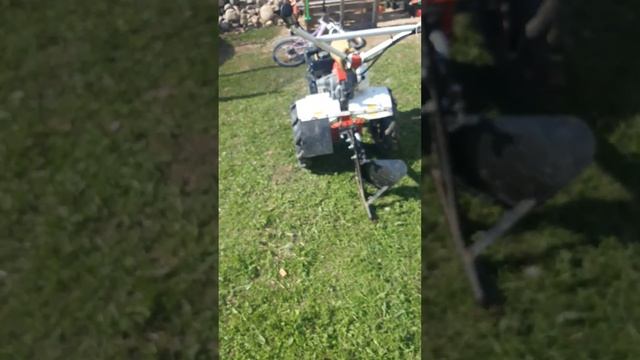 фаворит посадка