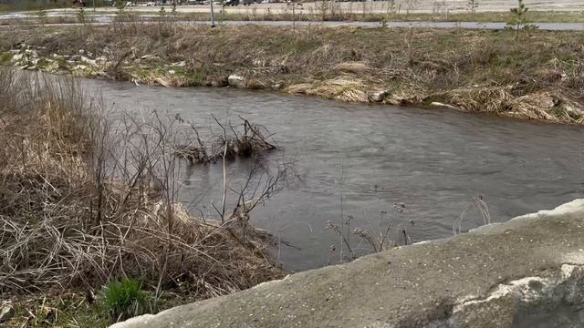 ОНИ НЕ ОТКРЫЛИСЬ НАМ | УЮТНАЯ ПОЕЗДКА НА СОЛНЕЧНУЮ ДОЛИНУ