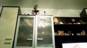 веном   в реальной жизни