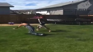 🦔ежик чихнул все начали падать - Новая часть