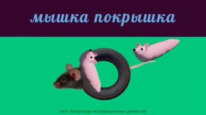 мышка покрышка, но это мышка сосиска