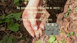 В лесу нашли два домика и одна огромную селуху в один день.