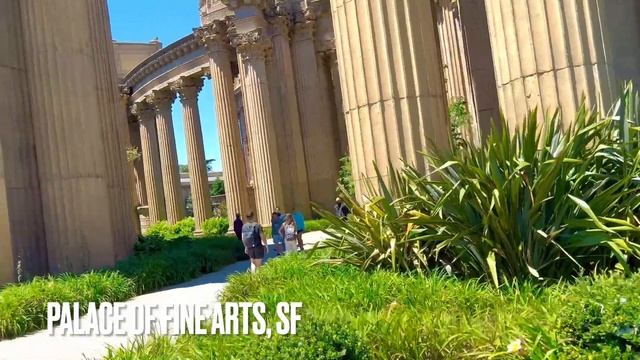 PALACE OF FINE ARTS, SF #46 смотреть онлайн