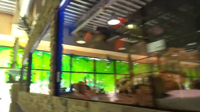 Зоомагазин ZOO Land в парке Горького, Харьков. Обзор. Лена Слютена смотреть онлайн