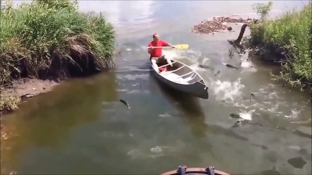 Подборка приколов и неудач на рыбалке.часть 2 смотреть онлайн