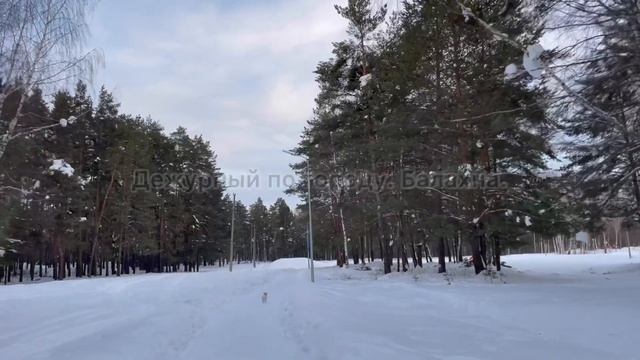 Лесная опушка и зимний лес , земснаряд под музыку. Правдинск. 15.02.2022 смотреть онлайн