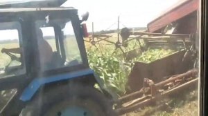 Заготовка кукурузного силоса 2018