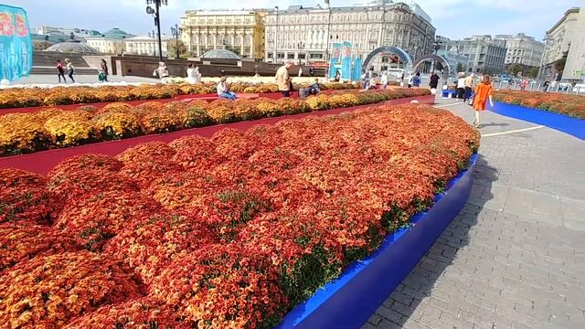 Цветочный сад "80 лет ВДНХ" на Манежной пощади смотреть онлайн