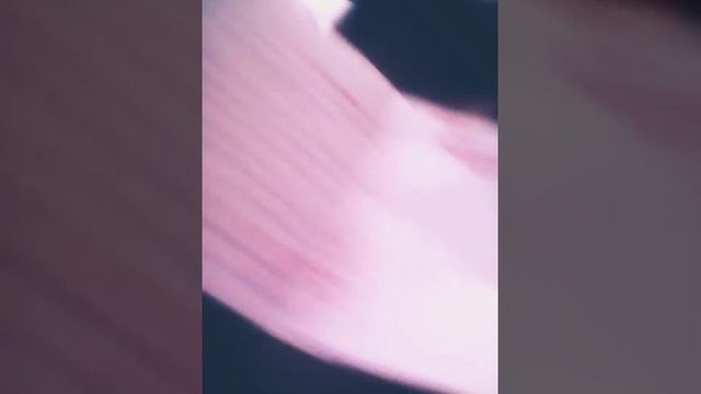 Я учительница!? смотреть онлайн