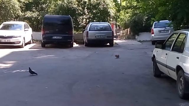 16 июля 2016 г. смотреть онлайн