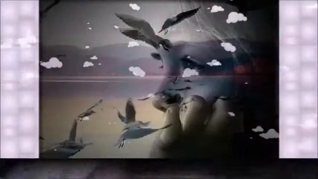 Сергей Шатохин - Верю и люблю смотреть онлайн