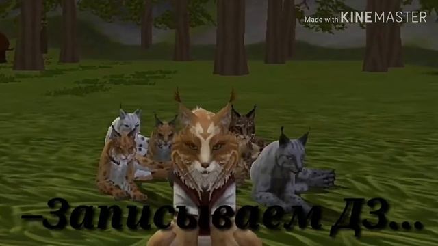 Wild Craft–Школа (приколы) By Olivka [WC]