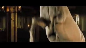 Павел Кашин  -  Жить вечно