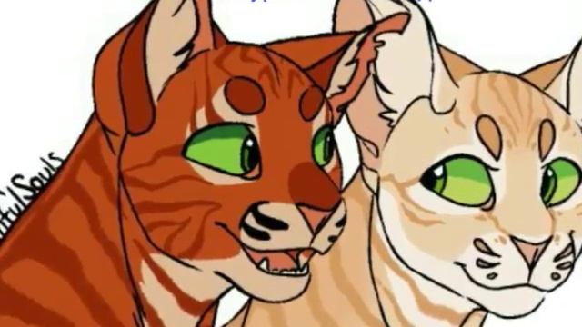 Коты Воители Песчаная Буря и Огнезвёзд смотреть онлайн