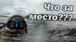 ИХ МОЖНО ЛОВИТЬ РУКАМИ!! ОХОТА В ЗАПРЕТ!!!