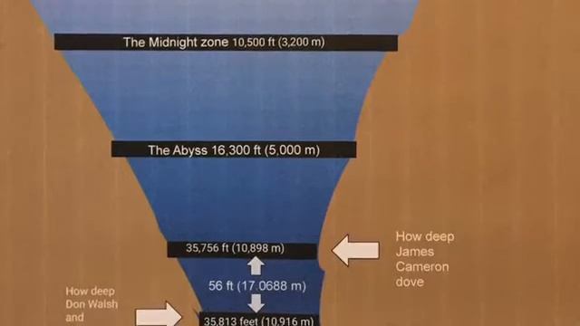 Mini lesson on Mariana Trench смотреть онлайн