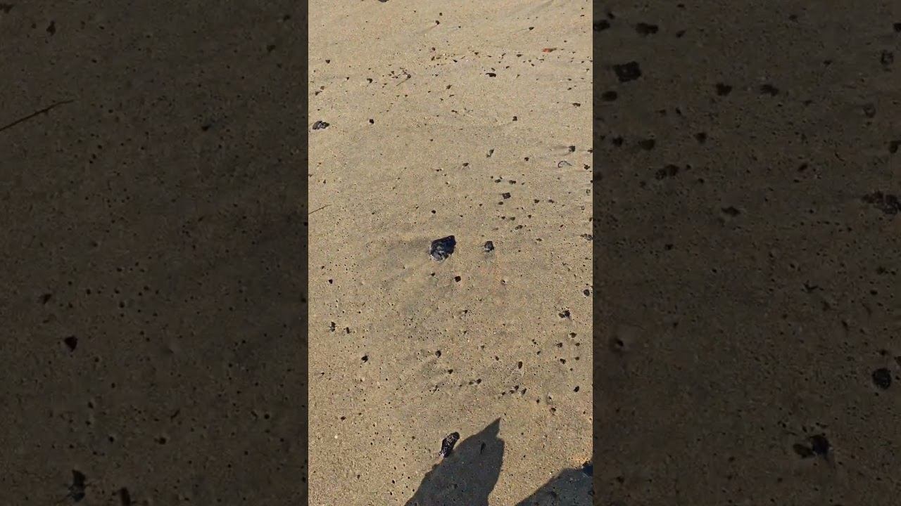 Не оставайтесь в стороне, кто может приезжайте. #анапа #катастрофачерноеморе