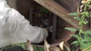 Находка нечаянная может ли быть предзнаменованием о новых жильцах здесь?  09. 09. 2016