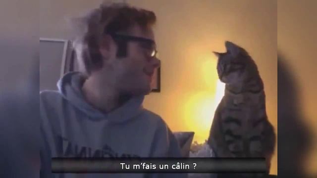 Прикоы лучшее смотреть онлайн