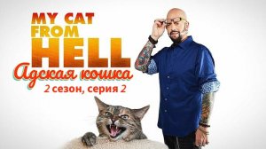 Адская кошка / My Cat From Hell