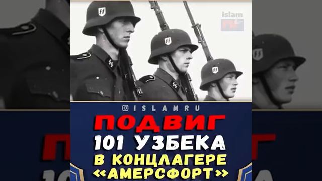 Истинные мусульмане