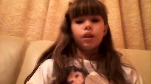 Всё про американского кокера спаниэля ♡♥♡