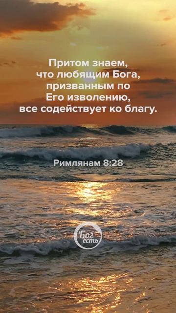 Римлянам 8:28 смотреть онлайн