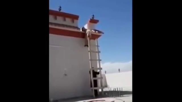 Самые смешные ПРИКОЛЫ #2/Best Funny Video Complication #2 смотреть онлайн