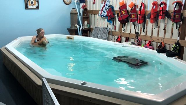 Sadie 2-10-21 смотреть онлайн