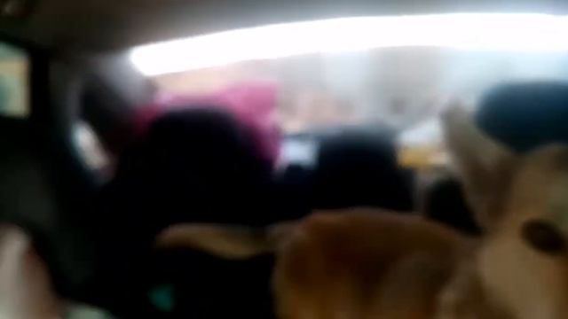 Опять предали, опять бросили. Как верить в лучшее. Мы на грани. 😭😭😭 смотреть онлайн